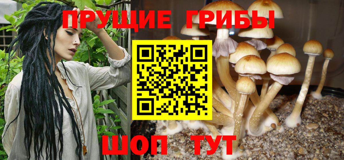 MDMA Шебекино