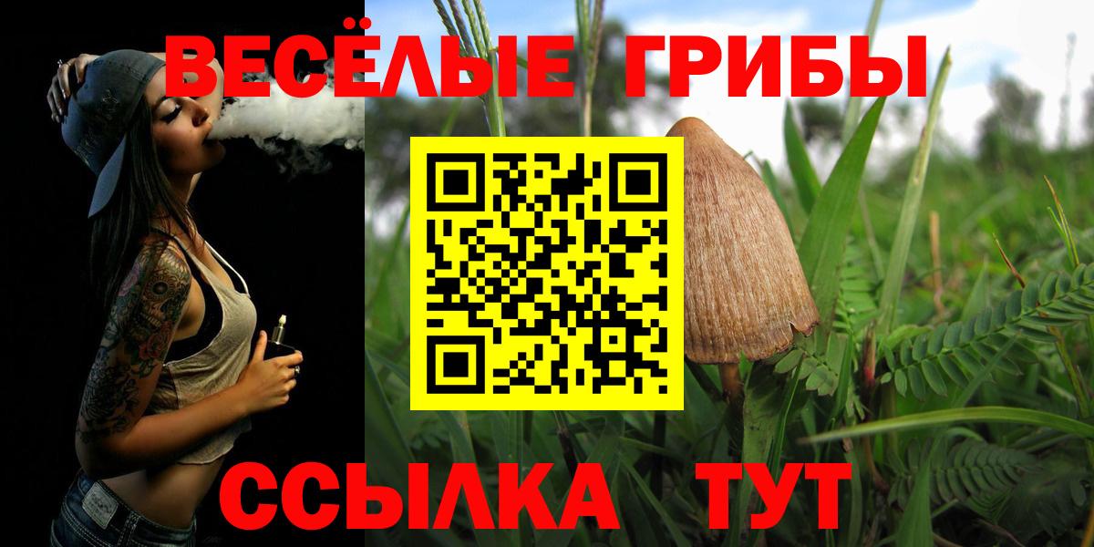Галлюциногенные грибы прущие грибы Шебекино