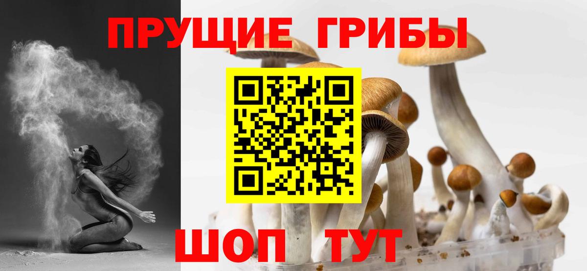 Галлюциногенные грибы мухоморы  Вход с VPN  Шебекино 